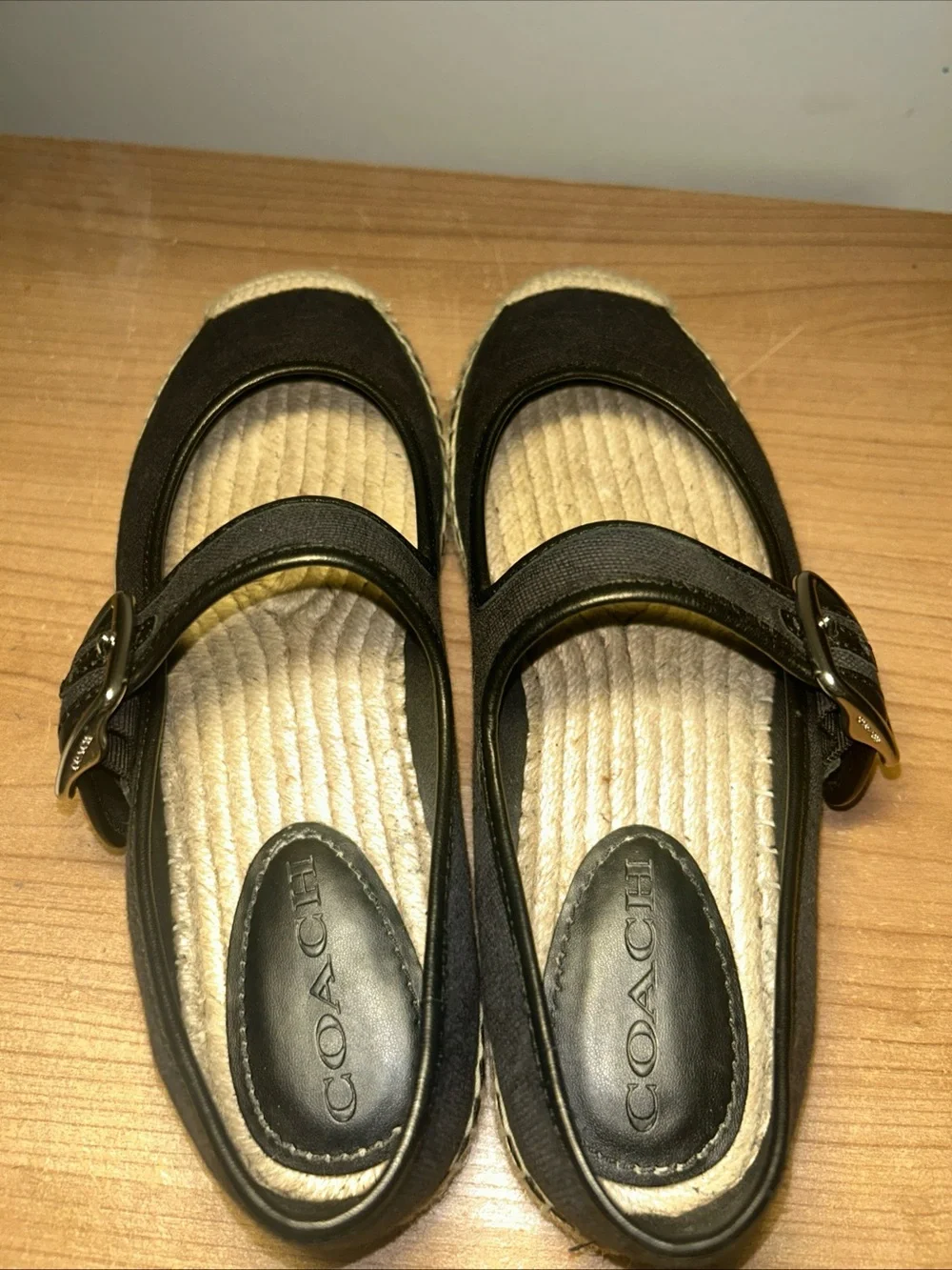 Coach canvas mary